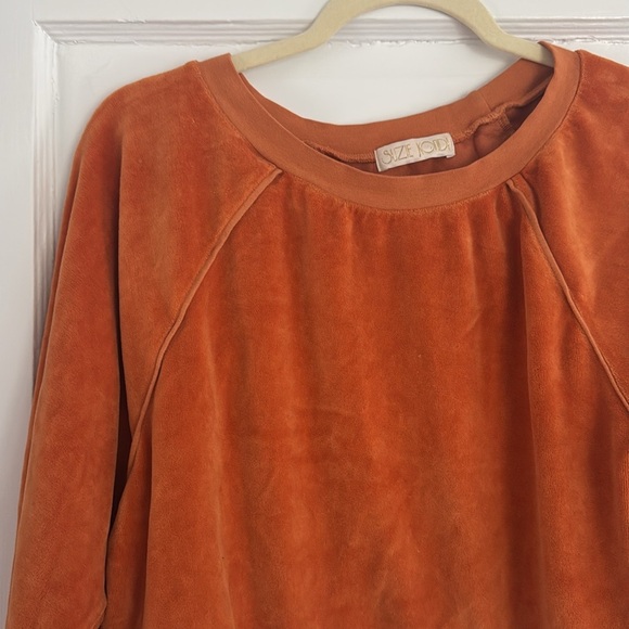 Suzie Kondi Cropped Velour Sweatshirt - Picture 3 of 5